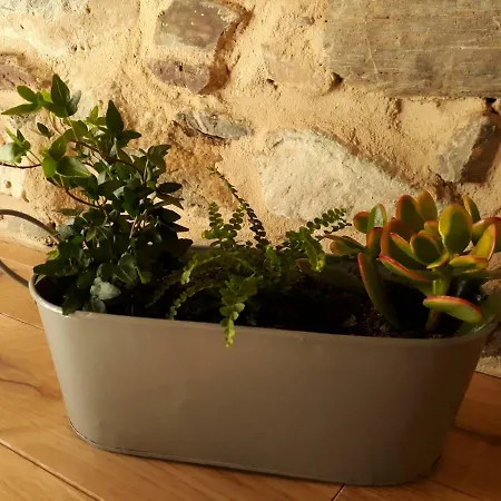 Holiday home La Voute: Insolite Et Atypique Dans Le Sud Aveyron Fayet (Aveyron)